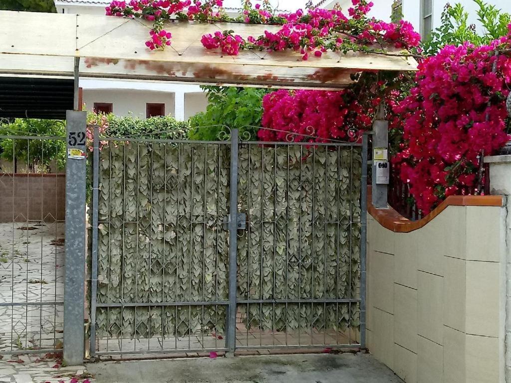 Casa Vacanze Mare Gargano ローディ・ガルガーニコ エクステリア 写真